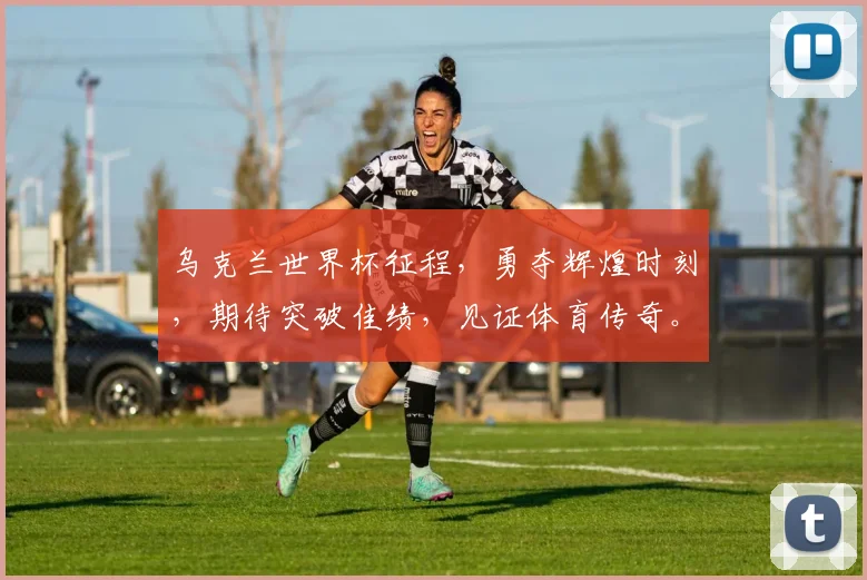 乌克兰世界杯征程，勇夺辉煌时刻，期待突破佳绩，见证体育传奇。