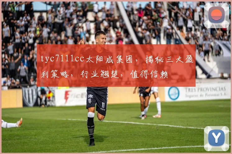 tyc7111cc太阳成集团，揭秘三大盈利策略，行业翘楚，值得信赖